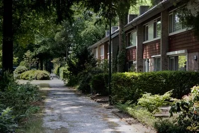 Rechter bemoeit zich met Breeakker: hoeveel is ‘Center Parcs’ van Son waard?