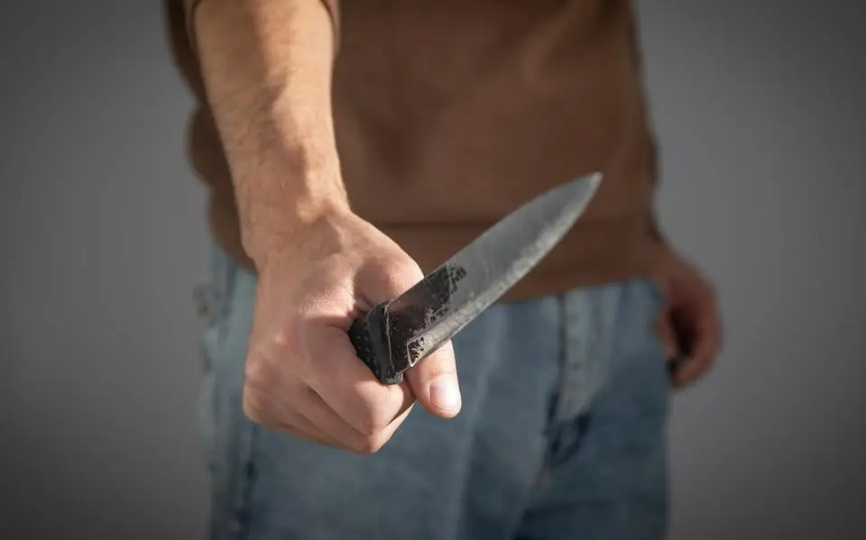 Man (49) uit Leeuwarden hoort vier jaar cel eisen na steekpartij en brandstichting