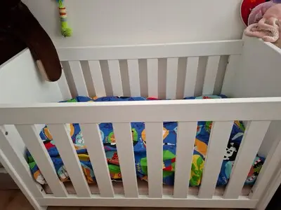 Ledikantje zoekt nieuwe baby en Johan biedt houten palen aan voor een hekwerk