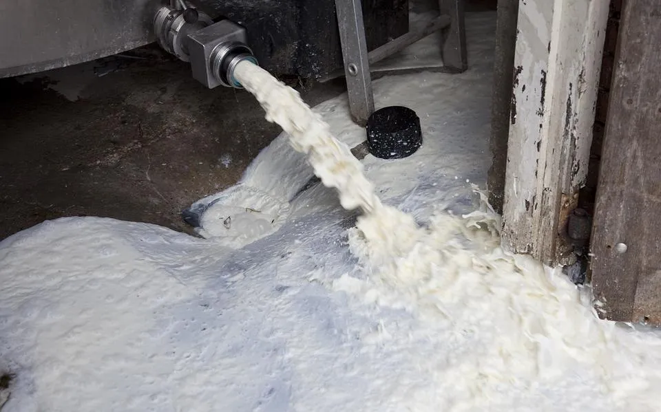 Opluchting voor Romke Auke uit Warfstermolen: melk hoeft niet de put in