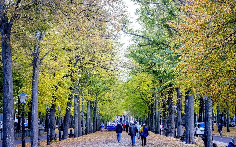 Opvallend zacht en wisselvallig herfstweer: natte ochtend, later zon en wind