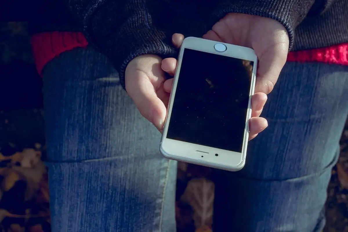 Apple iPhone 5G  Sales May Be Disappointing Next Year