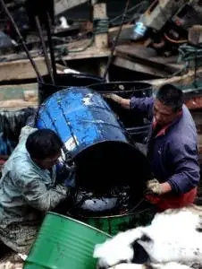 Dalian Oil Spill Clean Up