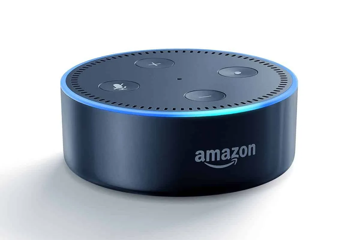 Here's how to make Amazon Alexa swear