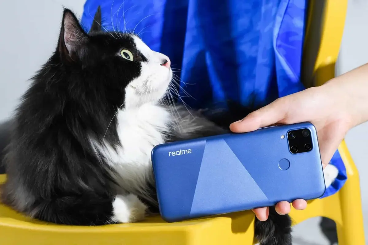 Realme C15 is official: budget with huge battery and quad-camera