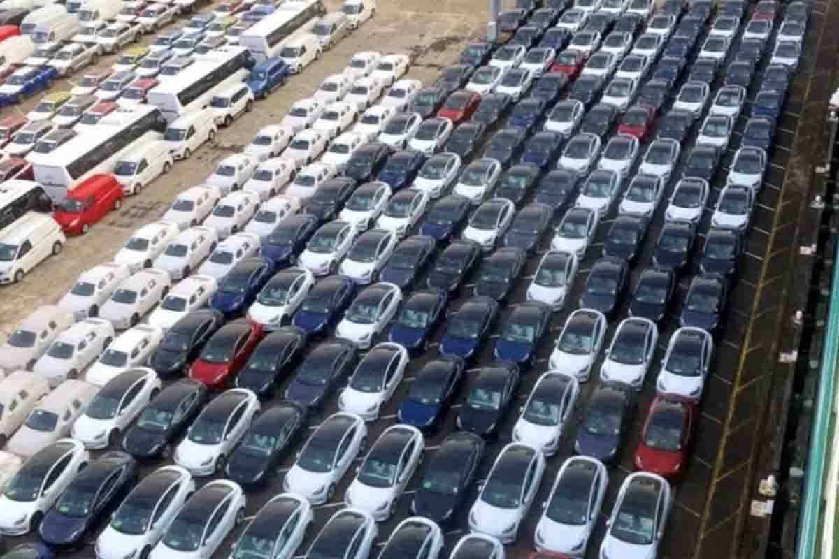 Tesla Cars Spotted in Auckland Port, More Growth In New Zealand Likely