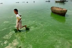 Qingdao University Makes Fire Proof Clothing From Algae!