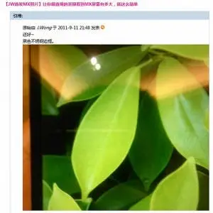 Meizu MX Get's a December Release Date and a Lower Quality Screen!?