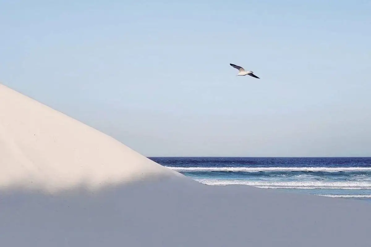 How to take minimalist photos - its simpler than you think