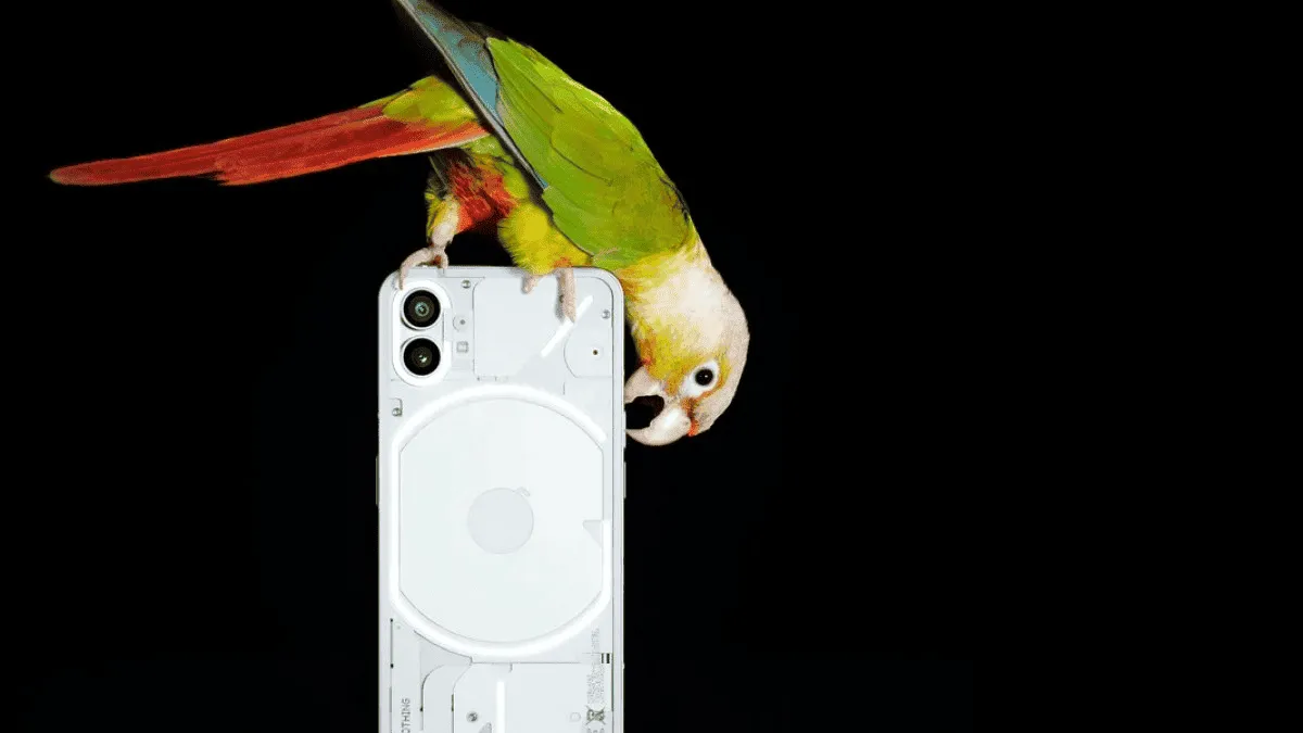Nothing Phone (1) Appeared On Amazon Germany: Prices Known