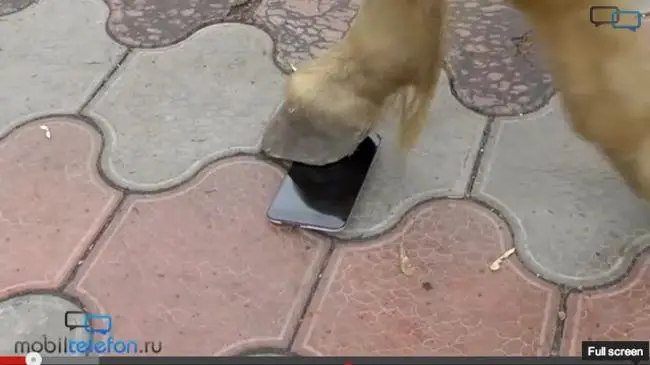 Meizu MX3 takes a beating from a horse, spanner, hose and cat in this destruction video