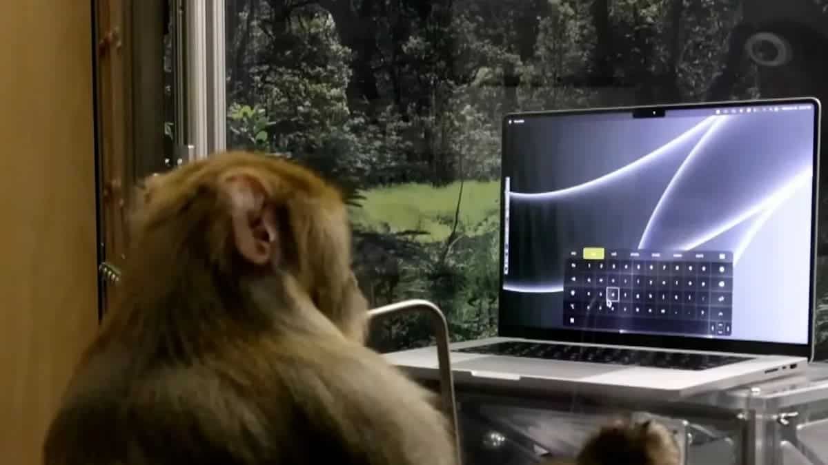 Elon Musk Showed How A Monkey Moves Cursor According To Prompts