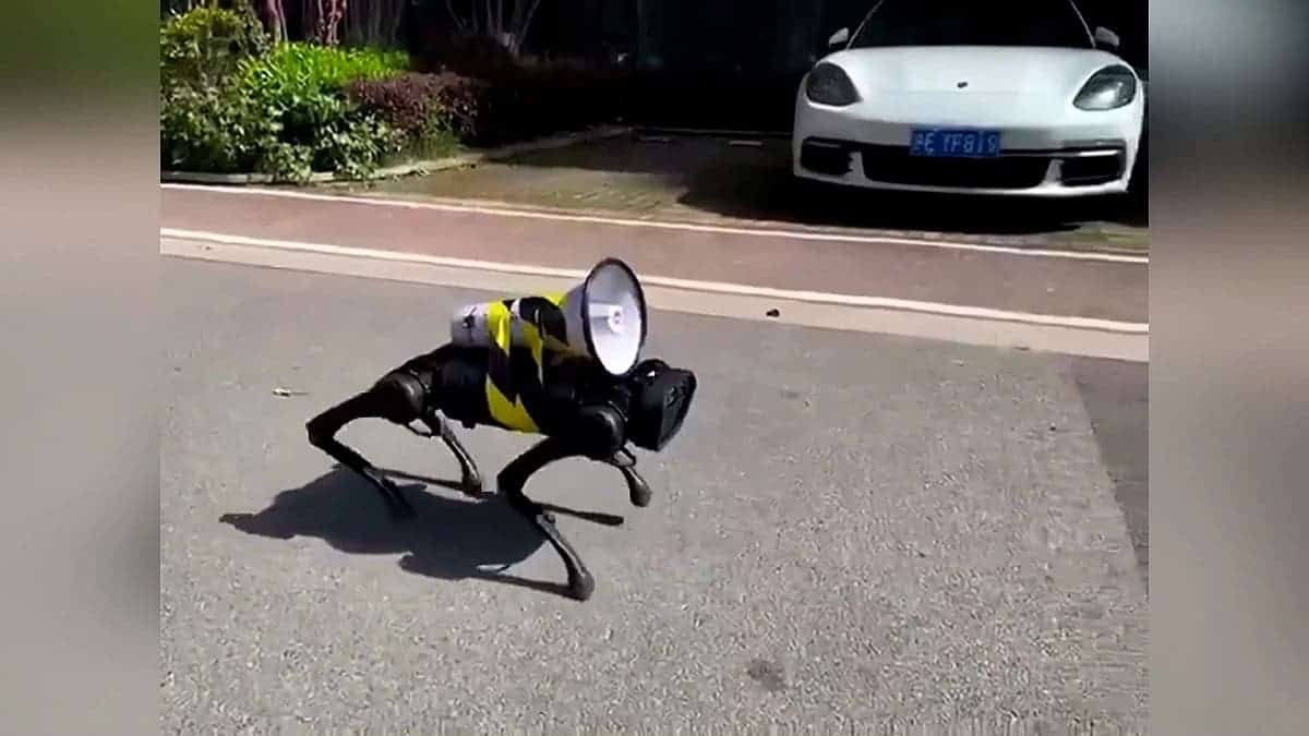 China: Robot dogs deliver health instructions