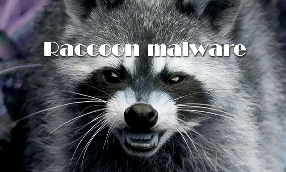 Raccoon banking malware threatens users of Chrome, Firefox and Edge