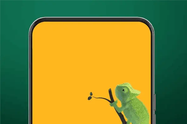 Before ZTE Axon 20 5G, We've Been Using False Full-screen Smartphones