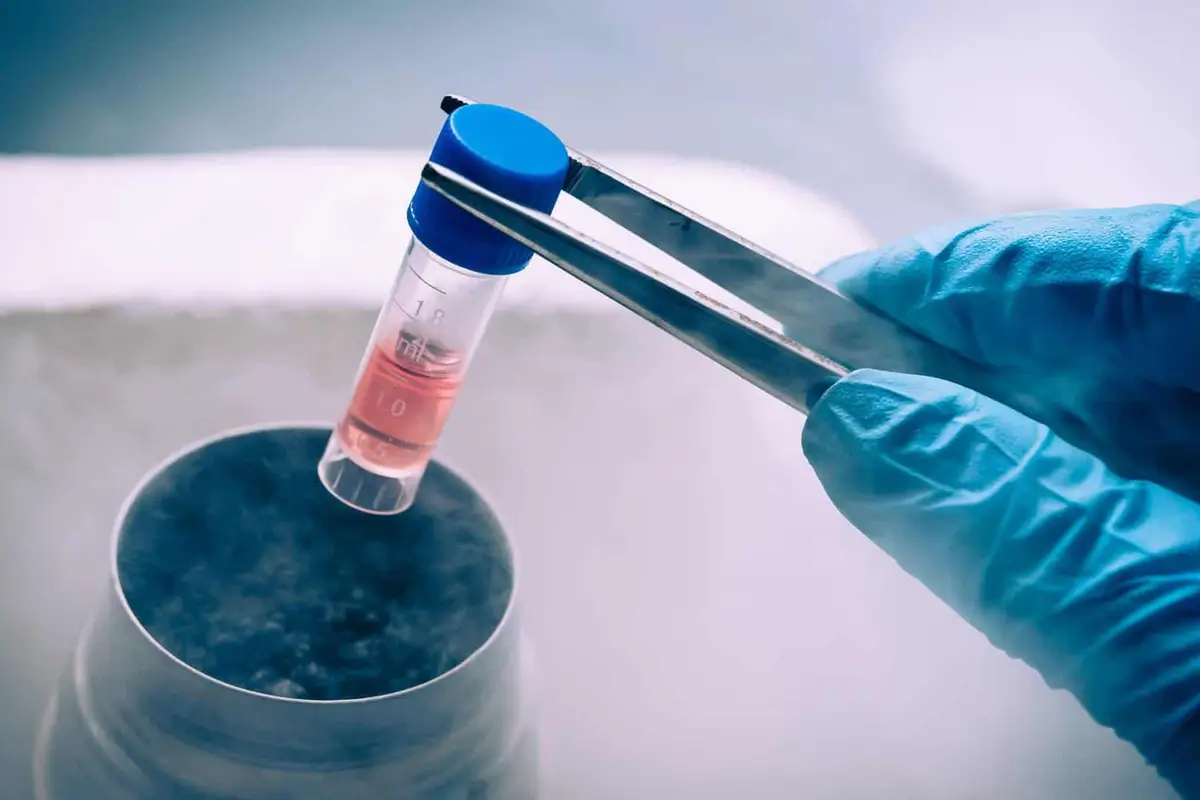 How To Do Business On Stem Cell Biology