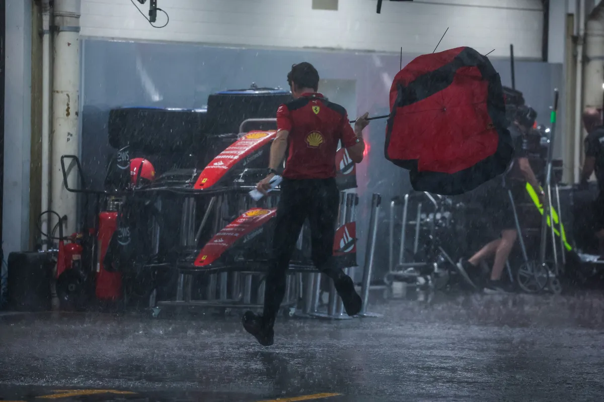 brazil paddock regen