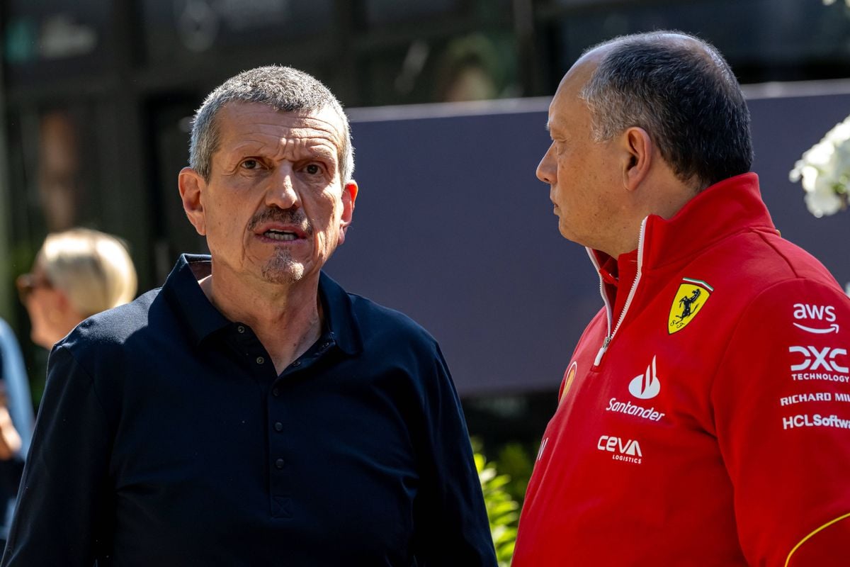 Guenther Steiner zet streep door mogelijke nieuwe werkgever Adrian Newey: 'Dat is wishful thinking'