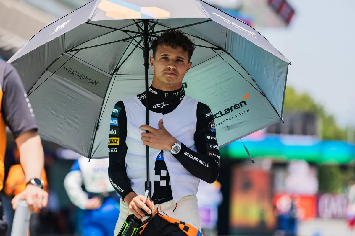 lando norris