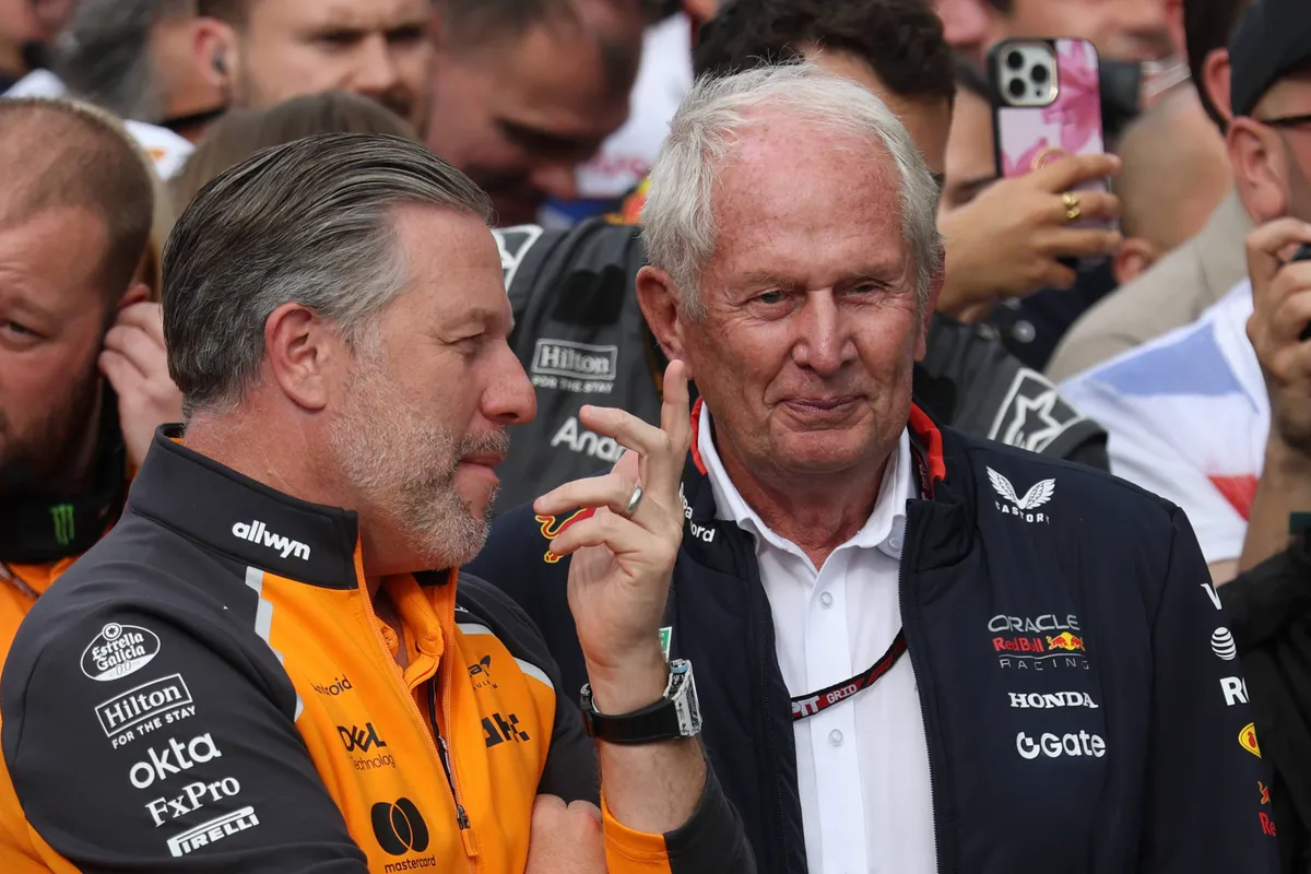 Red Bull-adviseur Helmut Marko in gesprek met McLaren-CEO Zak Brown