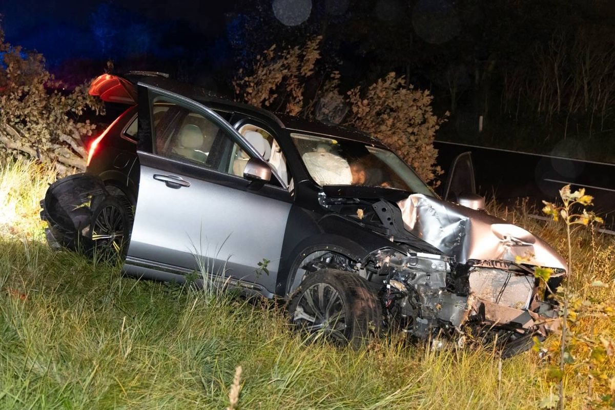 Vrouw verliest macht over het stuur en botst tegen boom in Overveen