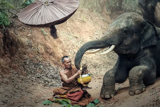 Nath Hahn: 'We zijn zelden vrij van gevoelens en percepties'