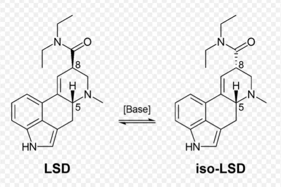Leven met stemmen in je hoofd, Timmers kan het inmiddels