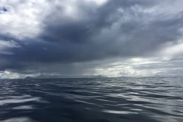 De kunst van ongelukkig durven zijn volgens Dirk de Wachter