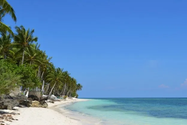 Inspiratie | Complimenteer, flos, dans, zing en zoveel meer