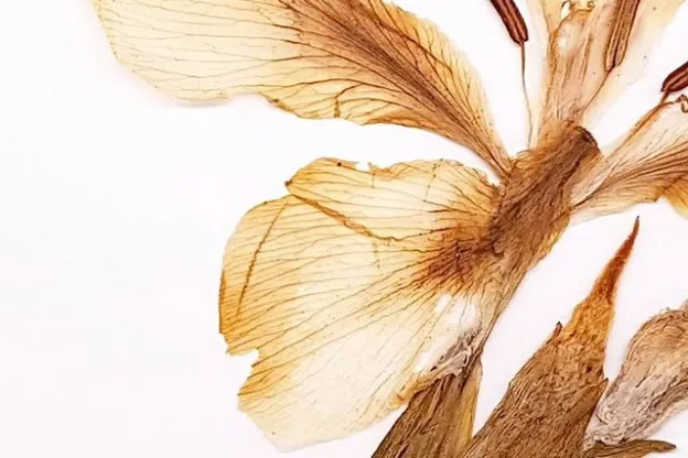 Gelezen | Welke problematieken kun je coachen en waar blijf je vanaf?