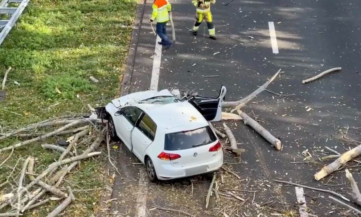 Storm Conall: KNMI geeft Code Oranje af voor deze plaatsen