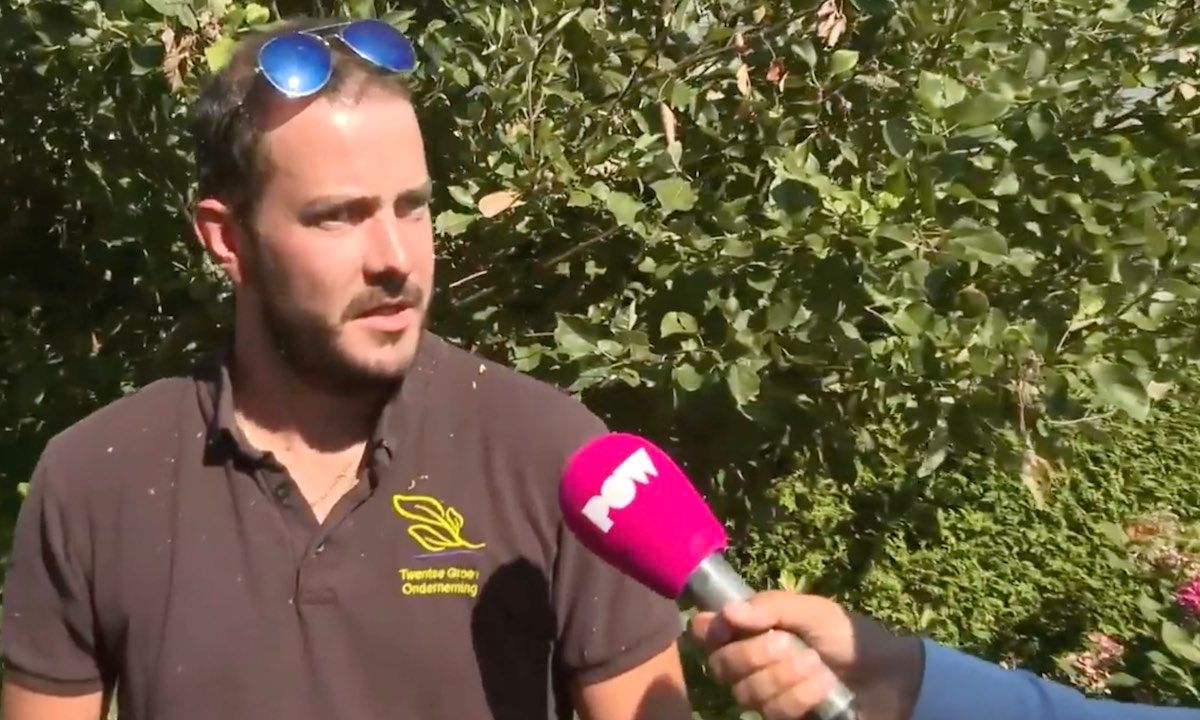 Hovenier die tuin leeghaalde bij wanbetalers spreekt: 'Ik heb €20.000 schade'