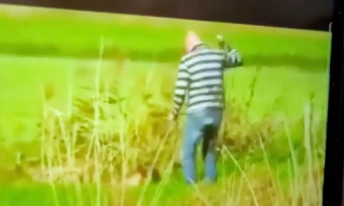 Nederlandse man mishandelt hond, vrouw zet man op straat