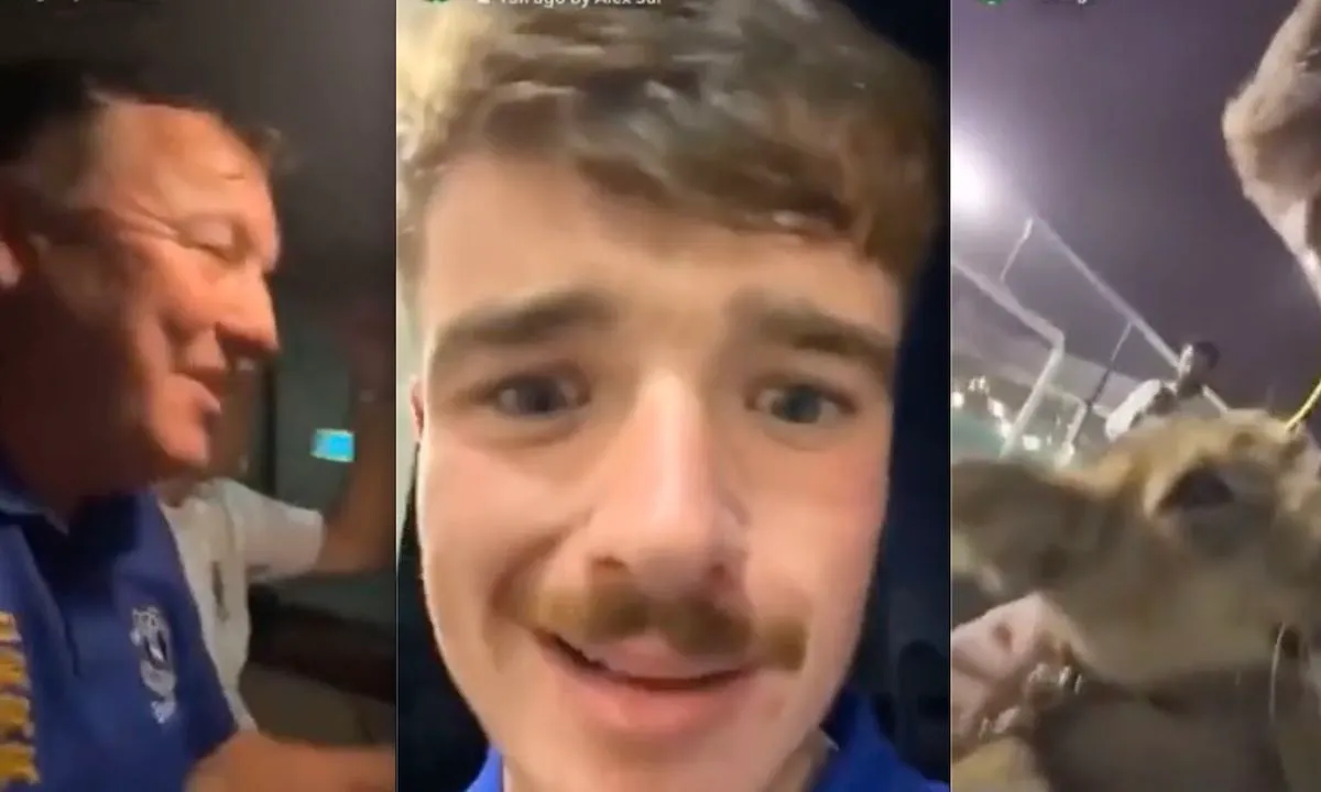 Britse voetbalfan slaagt in zoektocht naar bier in Qatar, belandt tussen de tijgers