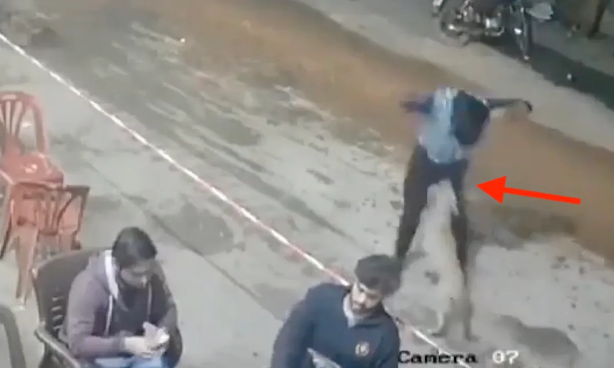Portie karma voor man die stoer doet en lief hondje schopt