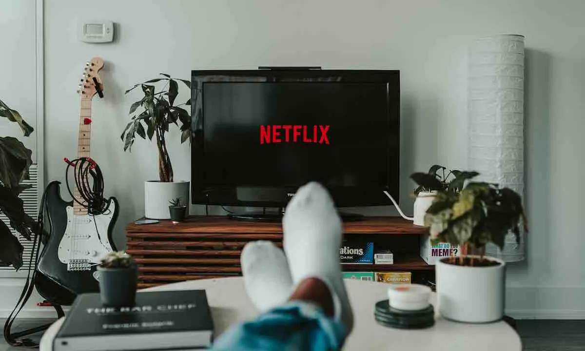 netflix wachtwoord delen