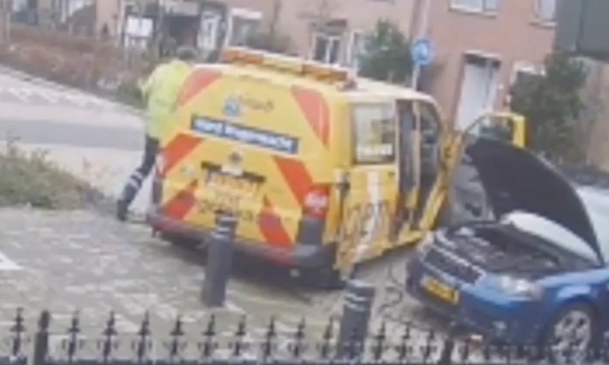 Foutje, bedankt! ANWB steekt auto in de fik