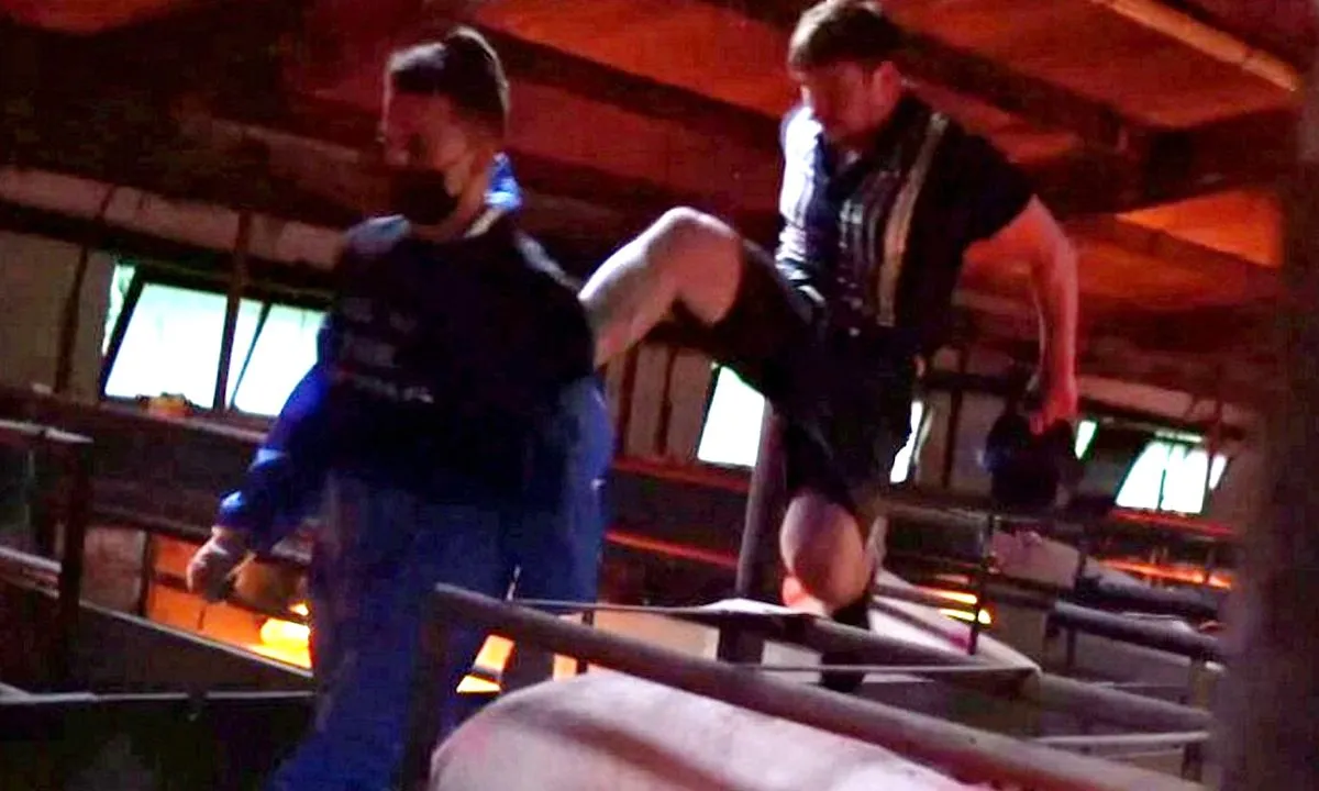 Boer geeft flinke kung fu-trap aan inbrekende veganist