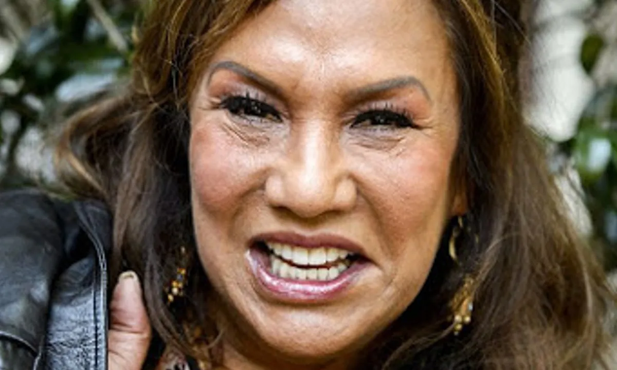 Patty Brard draait door bij Harry Styles-concert: Moet een betere plek!