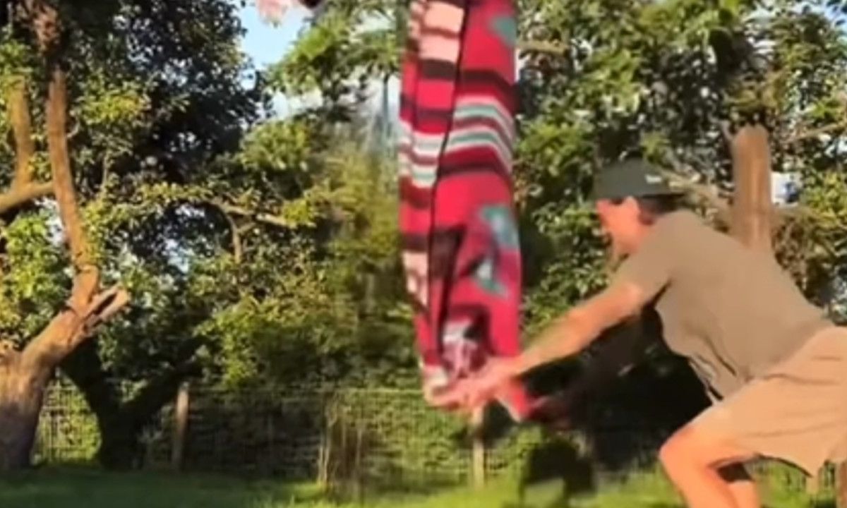 Losgeslagen Arie Boomsma misdraagt zich tijdens picknick (beelden)
