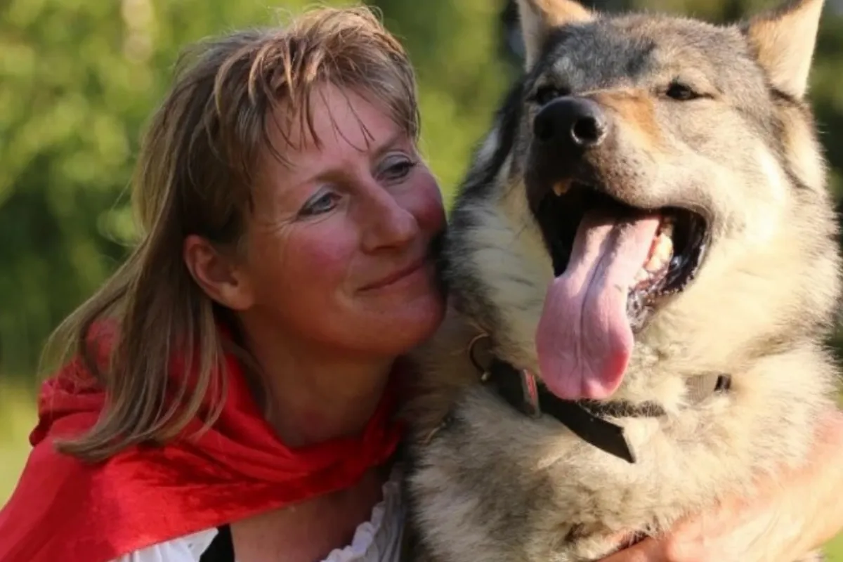 Corine doet niet meer mee aan B&B Vol Liefde door haar 24 wolfshonden