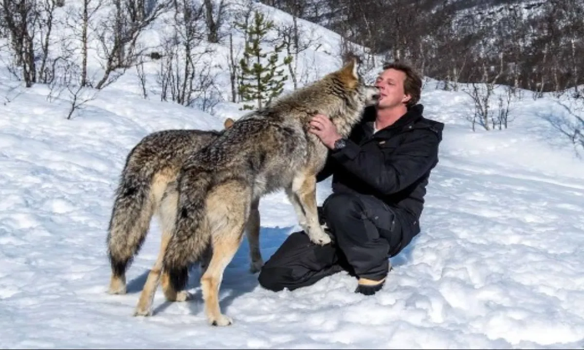 Freek Vonk neemt het op voor gevaarlijke wolf