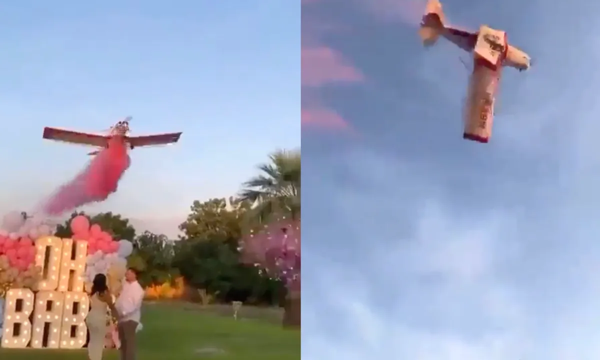 Vliegtuig valt uit de lucht bij gender reveal party (1 dode)