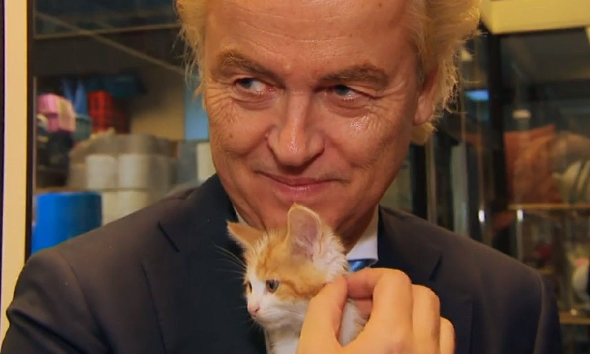 Geert Wilders wordt helemaal gek in kattenasiel: 'Ik wou dat dit iedere dag was!' (VIDEO)