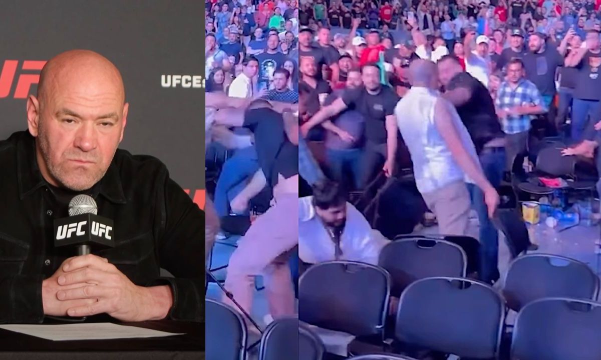 UFC-fan op gruwelijke wijze knockout geslagen in het publiek