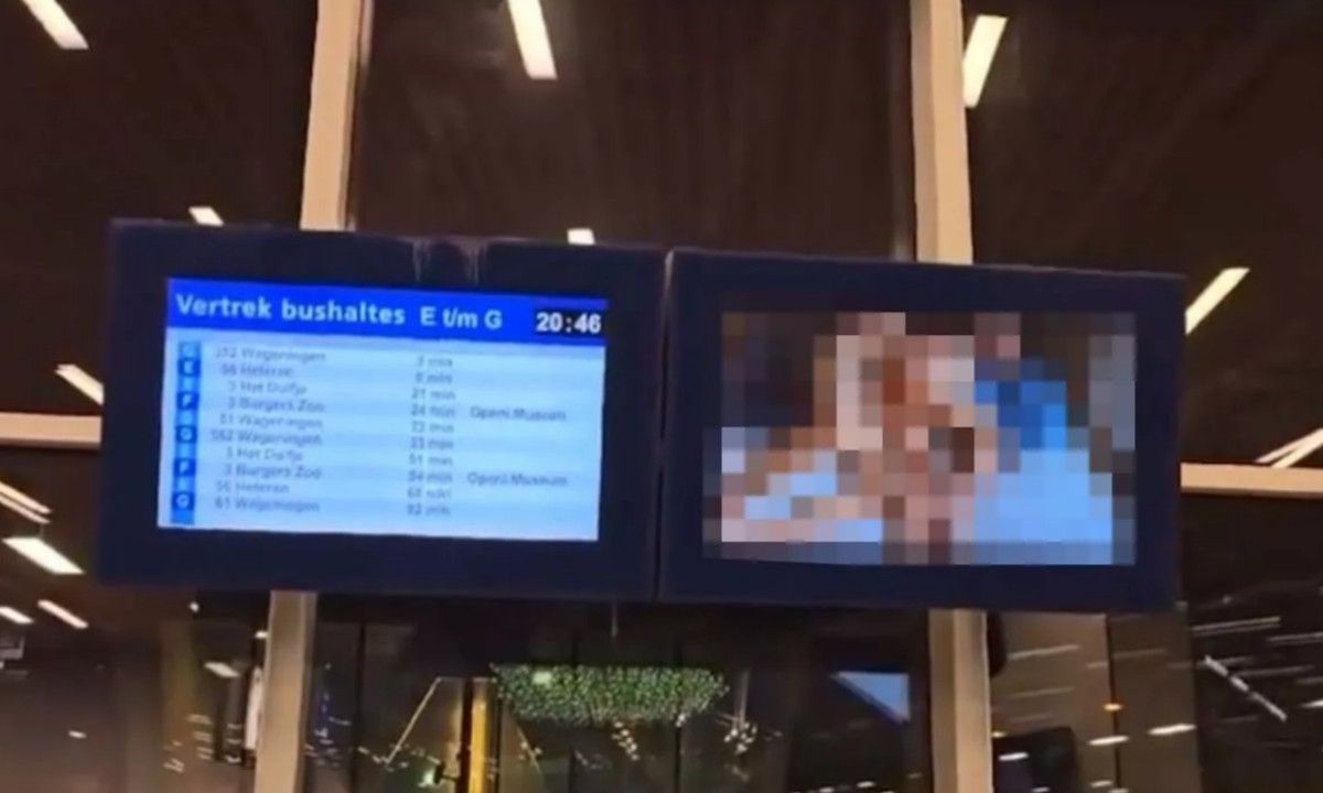 Gezelligheid op Arnhem centraal: hacker speelt natuurfilm af op scherm bij perron
