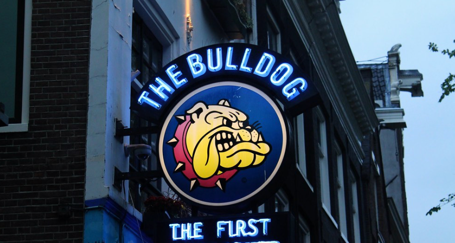 Amsterdamse 'koffiezaak' The Bulldog verlies 65,7 miljoen euro in rechtszaak tegen Red Bull