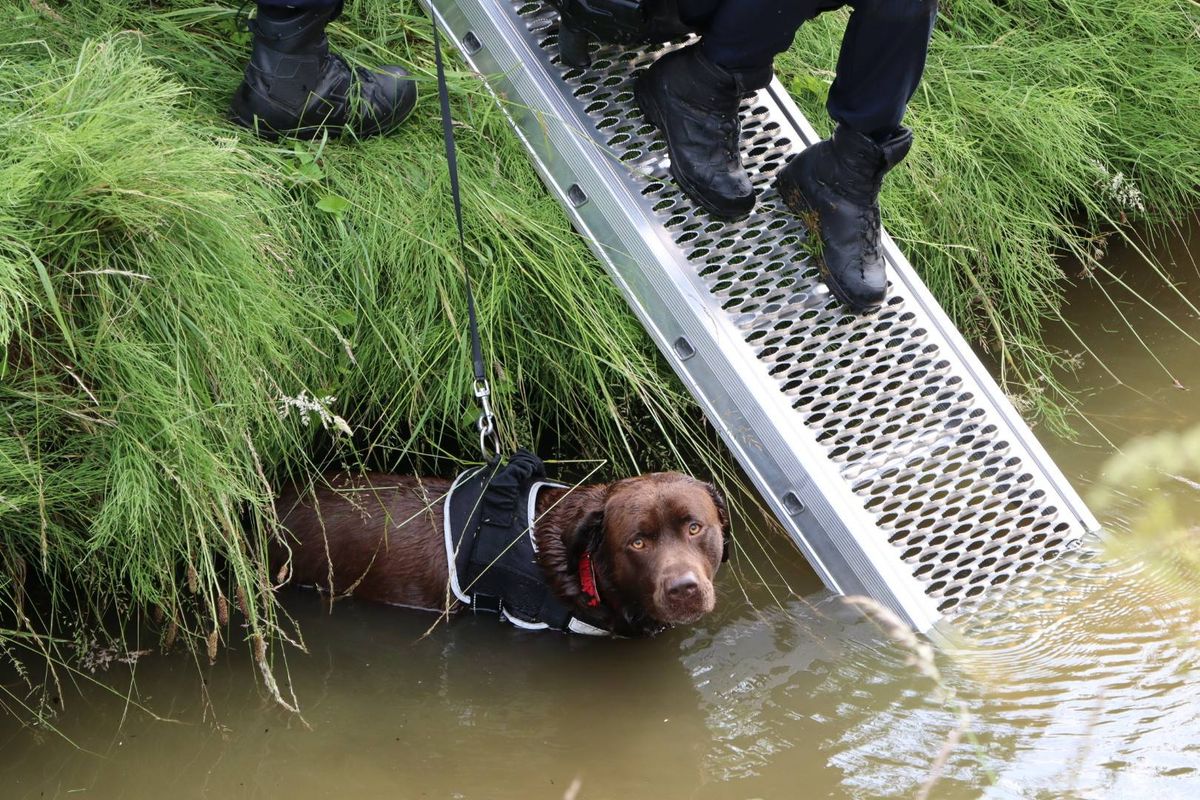 Hond gered uit sloot in Sprang-Capelle