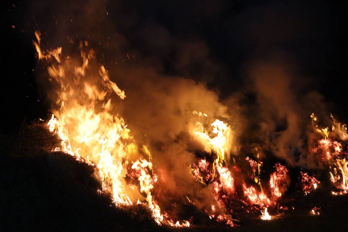 Buitenbranden Sprang-Capelle veroorzaken grote inzet brandweer