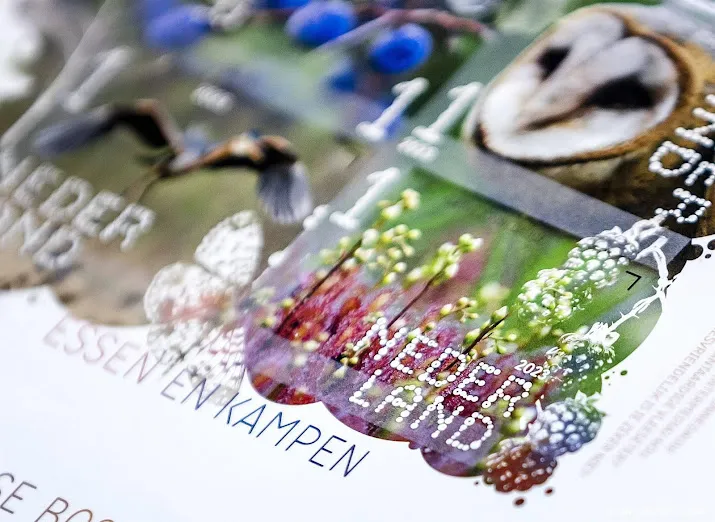 PostNL verhoogt weer postzegelprijs: grootste stap sinds 2014